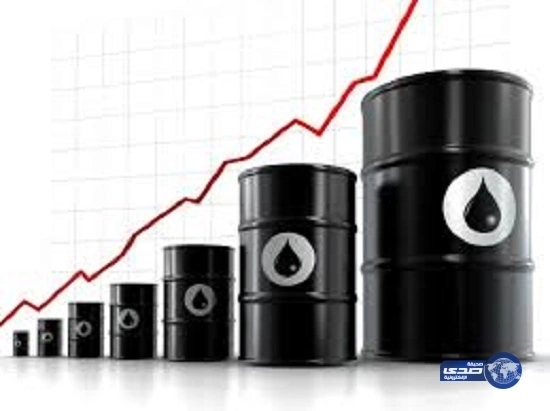 الإطاحة بسعوديين تخصصا بسرقة السيارات وتفكيكها جنوب الرياض‬