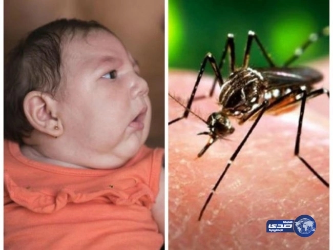 الهند تطمئن مواطنيها عقب اكتشاف ثلاث حالات مصابة بـ«زيكا»