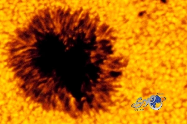 شمس تُثير الجدل بفيديو قديم يظهر ملامحها المختلفة