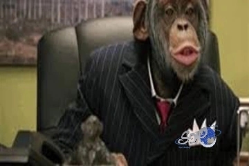 اليابان تعدم 57 قرداً بسبب جينات غازية غريبة