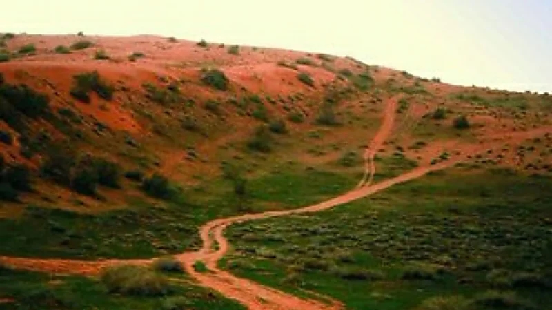 "المسند" يتوقع انكسار الموجة الباردة خلال هذا الأسبوع