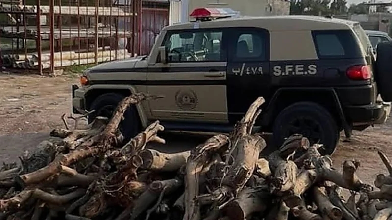 الإطاحة بمواطن و 4 مخالفين لنظام البيئة في عسير والشرقية