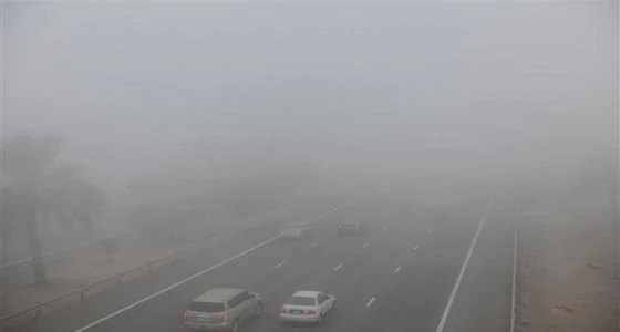 الإنذار المبكر يحذر من ضباب يعيق الرؤية بالمملكة