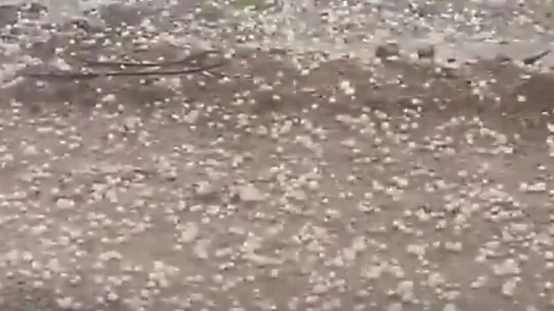 بردية كثيفة تغطي وادي جليل في الطائف.. فيديو