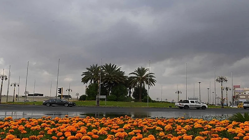 تبوك تسجل أعلى معدل لهطول الأمطار في تيماء