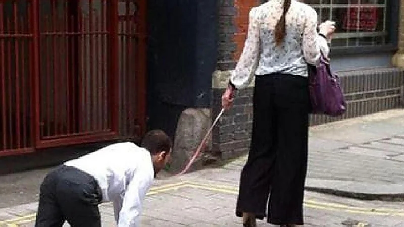 السجن 3 سنوات لسيدة جرت رجل كالكلاب