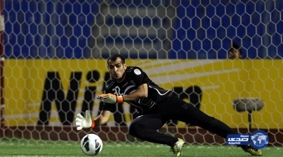 مجهولون يسرقون 22 رأساً من الأغنام في " عويقيلة الشمالية"