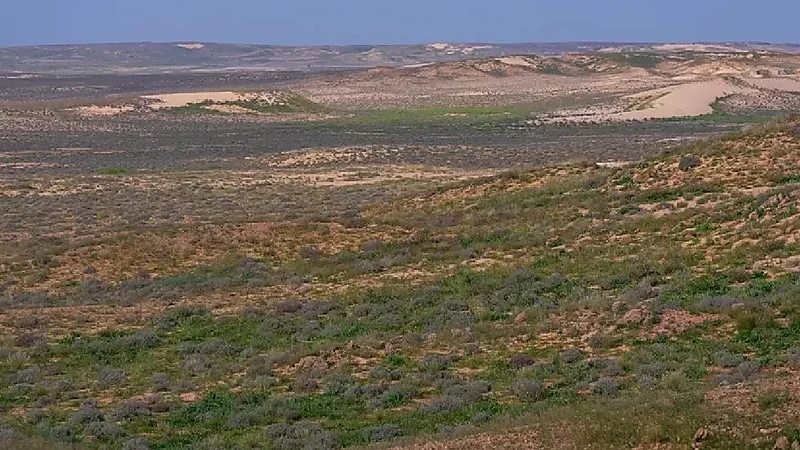 ضبط مواطنًا مخالفًا لدخوله بمركبته في الفياض بمحمية الملك عبدالعزيز الملكية