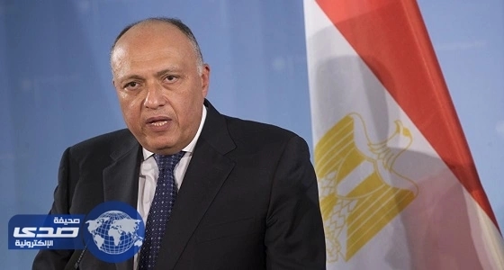شكري: هناك تراجع في الدعم القطري للتنظيمات الإرهابية