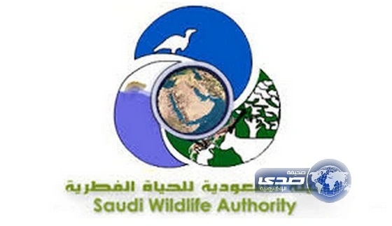 وظائف شاغرة بالهيئة السعودية للحياة الفطرية
