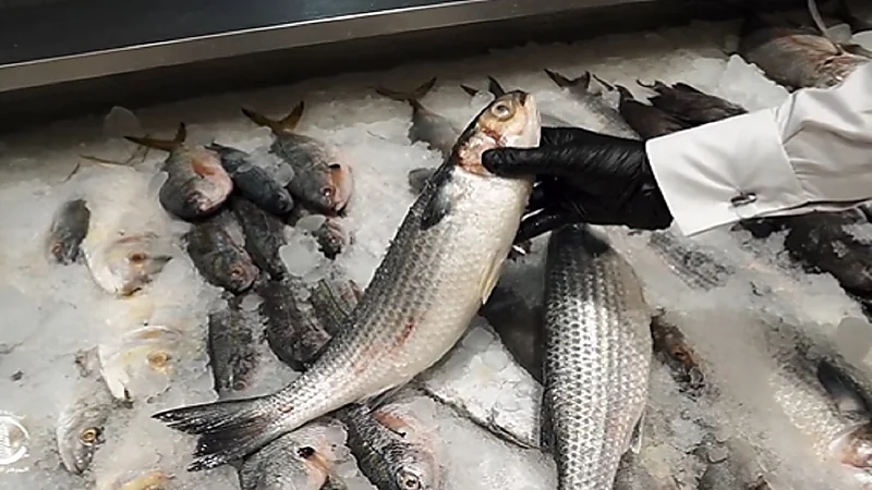 ضبط 1.5 طن من أسماك وورقيات فاسدة بسكاكا.. فيديو