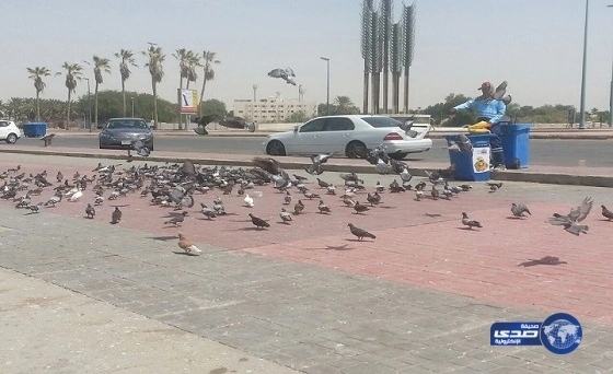 القبض على شاب تركي طعن جيرانه المصريين بسبب مباراة الفراعنة والسنغال