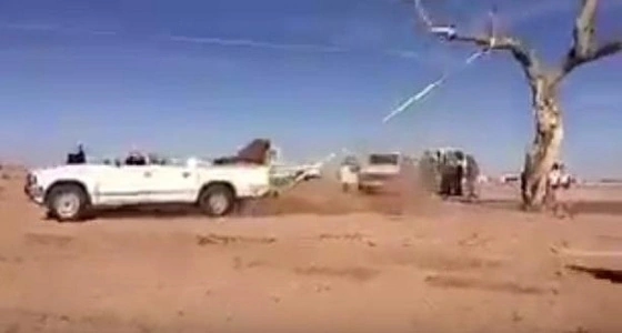 بالفيديو.. شاب يقتلع شجرة معمرة من أجل الاحتطاب