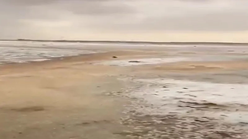 شاهد..  لحظة تساقط الثلوج على القريات 