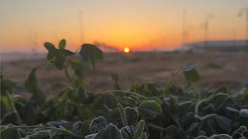 طريف تسجل أقل درجة حرارة بالمملكة