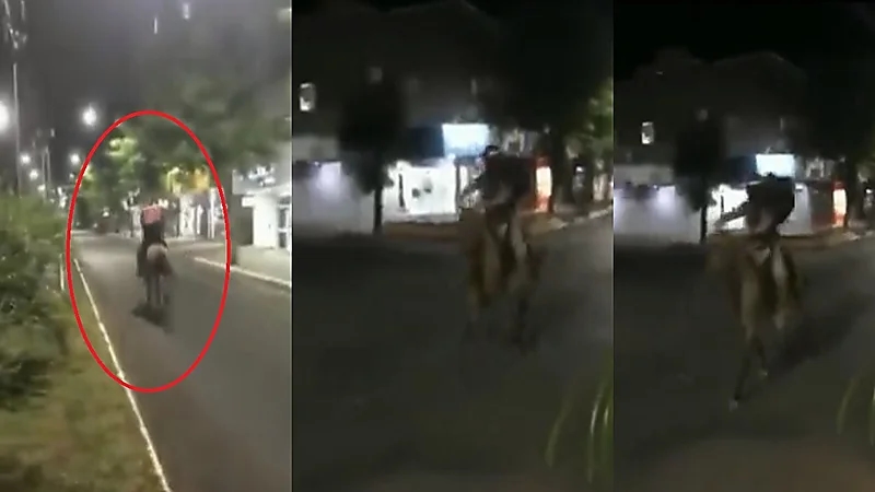 شاهد.. عامل توصيل بيتزا يستخدم الخيل بعد ارتفاع أسعار البنزين