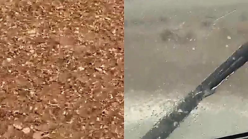 بالفيديو.. بردية وأمطار كثيفة في دومة الجندل