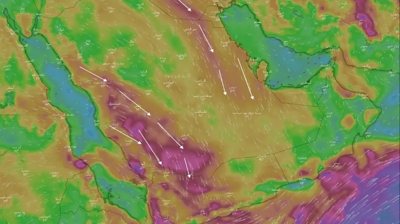 "المسند": يفضل ري المحاصيل مساءً لتقليل نسبة البخر