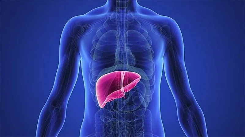 نظام غذائي يحافظ على الكبد