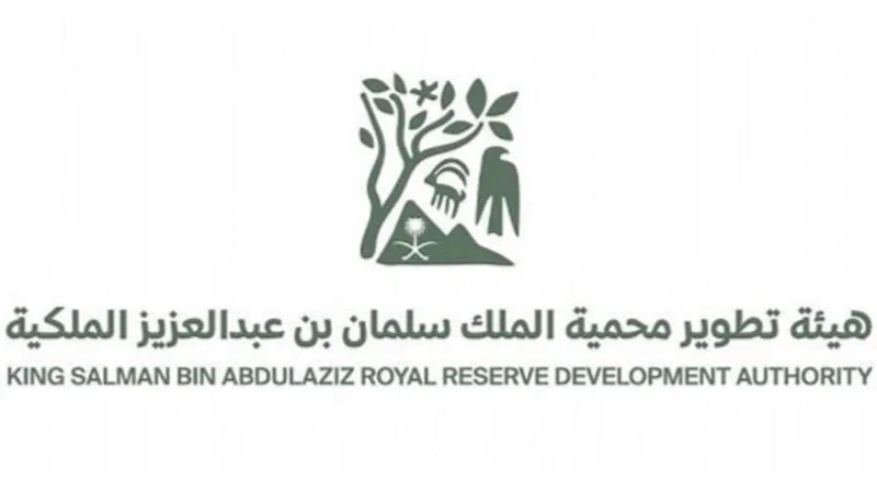 إمهال ملاك الحيوانات السائبة أسبوعين لإخراجها من منطقة الطبيق