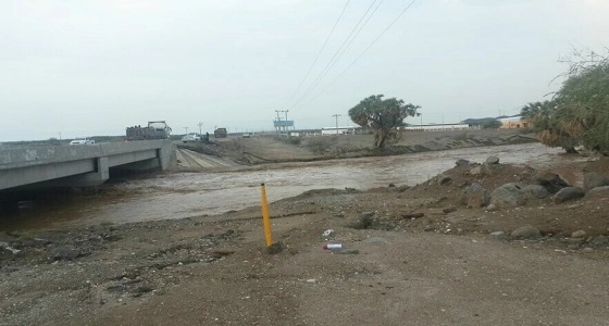 بلدية الساحل تجبر تجار الأعلاف على الانتقال للسوق الجديد.. والتجار يرفضون لخطورة موقعه