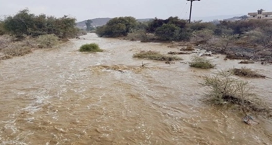 صور.. هطول أمطار غزيرة على البشائر في عسير