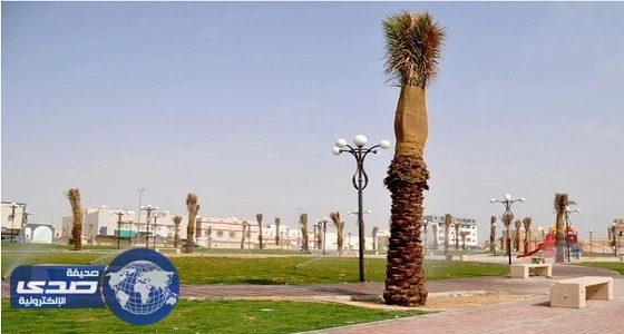 وقف التيار الكهربائي بحدائق الأحساء حتى انتهاء موسم الأمطار