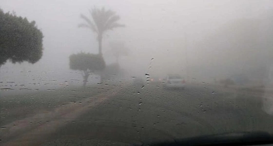 ” الأرصاد ” تحذر من رؤية غير جيدة في المنطقة الشرقية