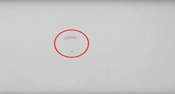 بالفيديو.. لحظة هبوط الطيار الروسي بعد إسقاط طائرته بـ " سوريا "