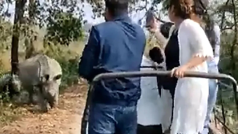 شاهد.. وحيد قرن غاضب يقلب سيارة سياح