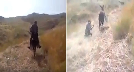 بالفيديو.. حمار يسحل رجلا بسبب كلب
