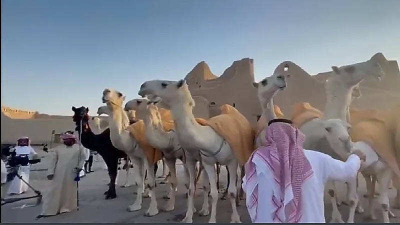 بالفيديو.. استعراض منقية قطامات في ‎الدرعية ضمن احتفالات اليوم الوطني