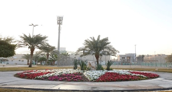بالصور.. زراعة أكثر من 450 ألف زهرة بمدينة الخبر
