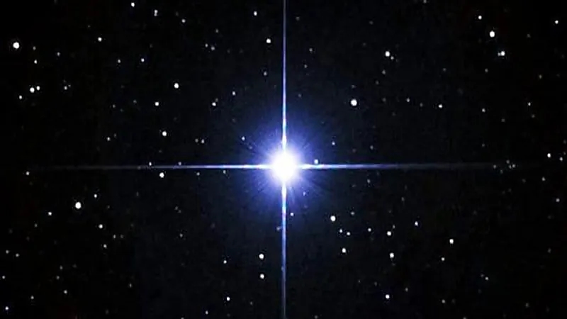 المسند: غدًا دخول طالع الجبهة