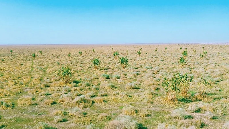 ضبط مواطن ارتكب مخالفة رعي في محمية الملك عبدالعزيز الملكية