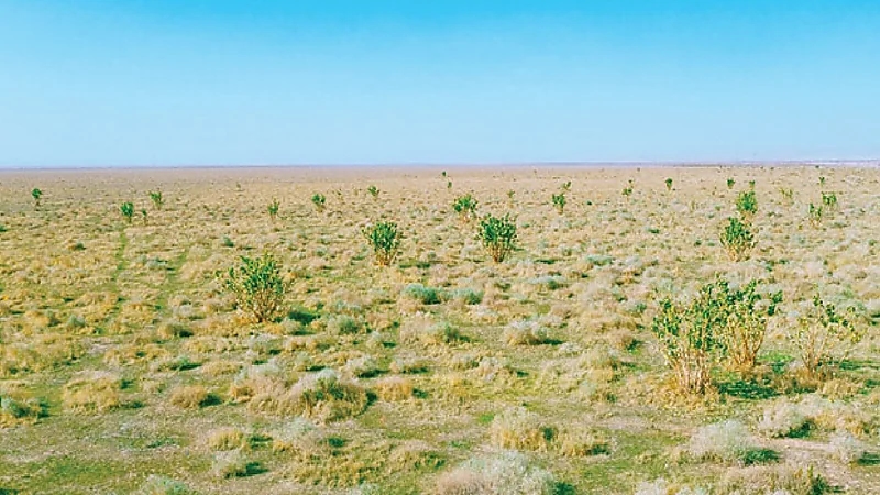 ضبط مواطنًا مخالفًا لنظام البيئة بمحمية الملك عبدالعزيز الملكية