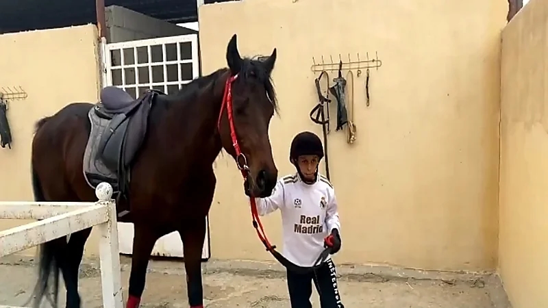 بالفيديو.. طفل يواجه معاناته من مرض الجهاز الهضمي بـ "ركوب الخيل"