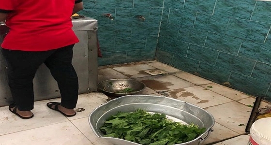 بالصور.. " الرقابة الشاملة " تضبط مخالفات صحية بأحد المطاعم لـ " نجران "