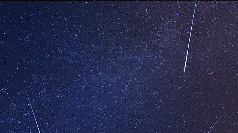 فلكية جدة: شهب التنينيات تزين سماء المملكة اليوم