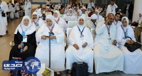 عودة 6500 حاج مصري على 26 طائرة اليوم