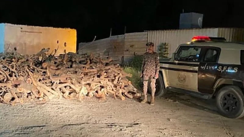 ضبط مخالفًا لنظام البيئة لاستخدامه حطبًا محليًا في الأنشطة التجارية بعسير .. فيديو