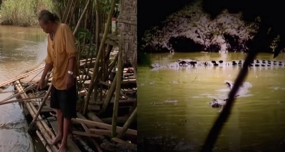 بالفيديو.. قرويون يطاردون تمساحا طوله 9 أمتار في الفلبين