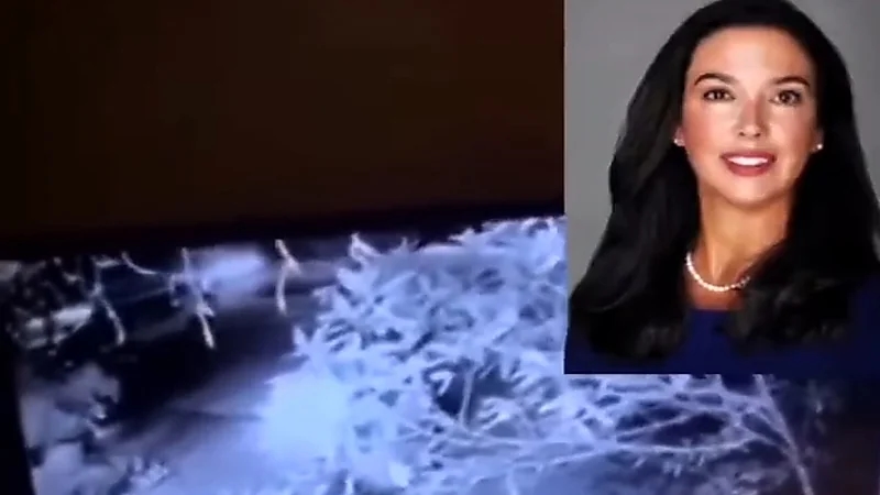 بالفيديو.. قاضية أمريكية تثير الجدل بـ "تصرف فاضح"