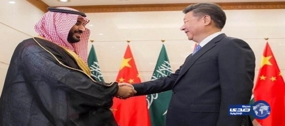 خارجية الهند تفضح فبركة قناة إيرانية حول زيارة ولي ولي العهد للصين