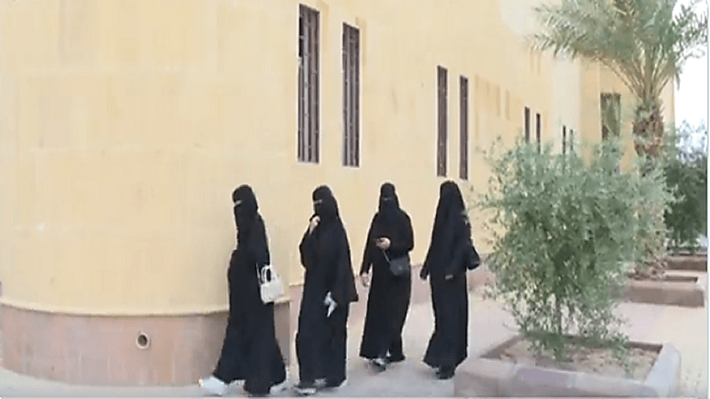 بالفيديو.. 31 نحالة سعودية تحترفن تربية النحل