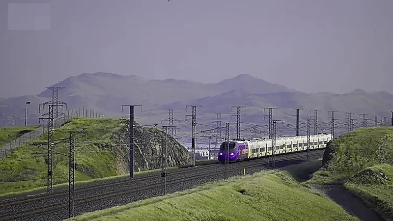 مشاهد خلابة لمساحات خضراء على طريق قطار الحرمين السريع .. صور