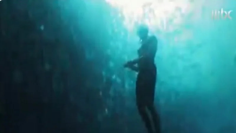 شاهد.. الشقيري ينزل 360 درجة ليغوص وسط السمك