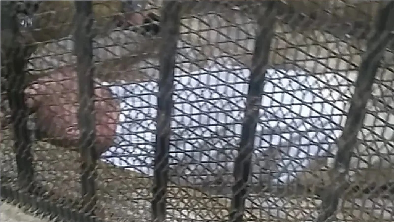 إغماء إمام مسجد حُكم عليه بالمؤبد بعد هتكه عرض طفلة