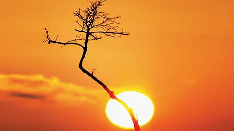 خبير يكشف ملامح درجات الحرارة المتوقعة في المملكة خلال يونيو