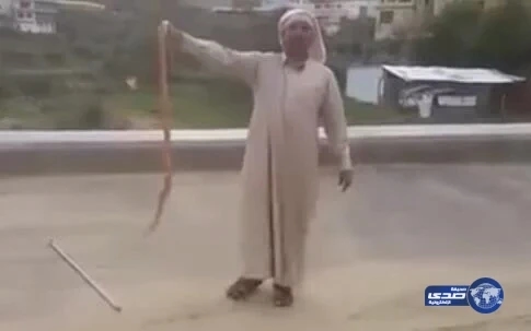 بالفيديو..مواطن يداعب كُوبرا سامة بأحد طرق النماص